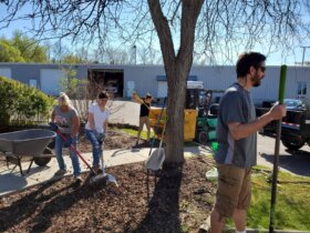 2020 COVID Return to Work